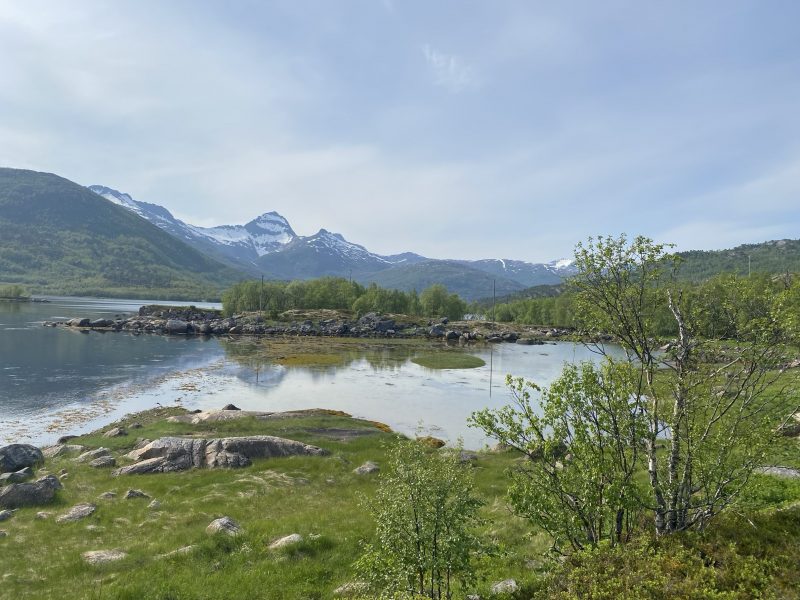 11.Tag Stave – Gullesfjord (250km)